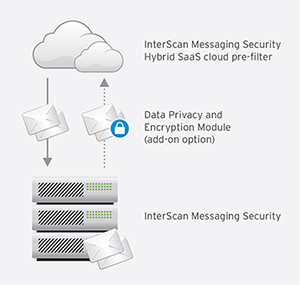 Virtual Appliance Hybrid SaaS Deployment